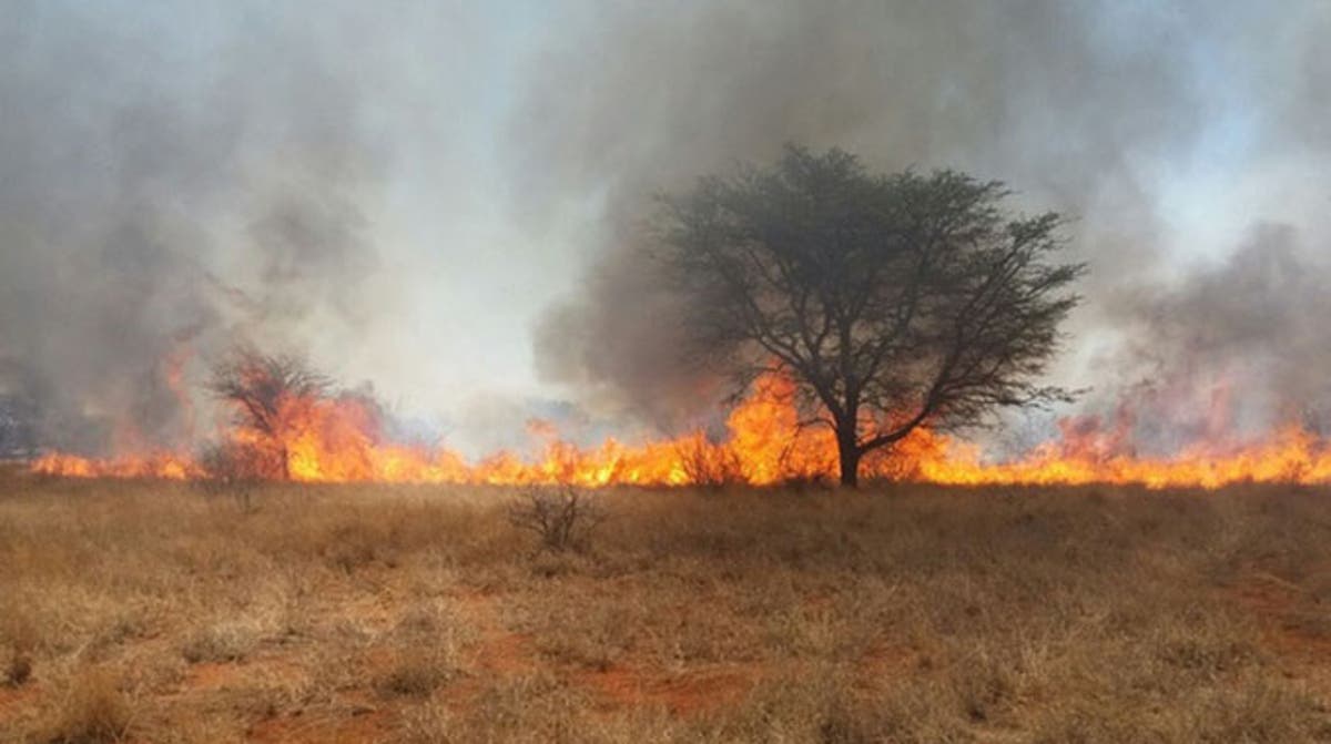 Preparing for Fire Season