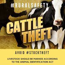 Stock theft, illegal or undocumented butchers and meat resellers